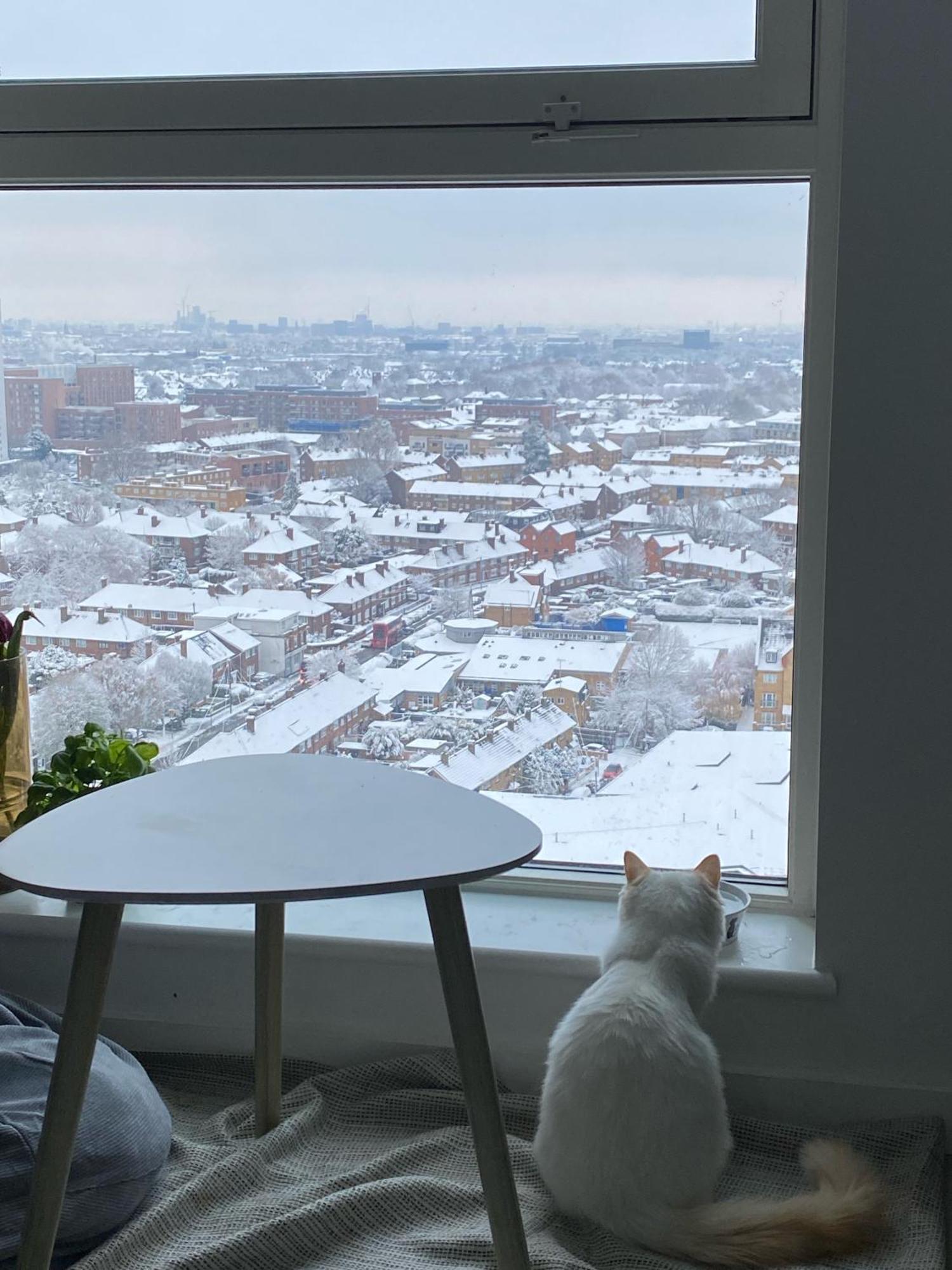 Cozy Flat With Stunning Views Lägenhet London Exteriör bild
