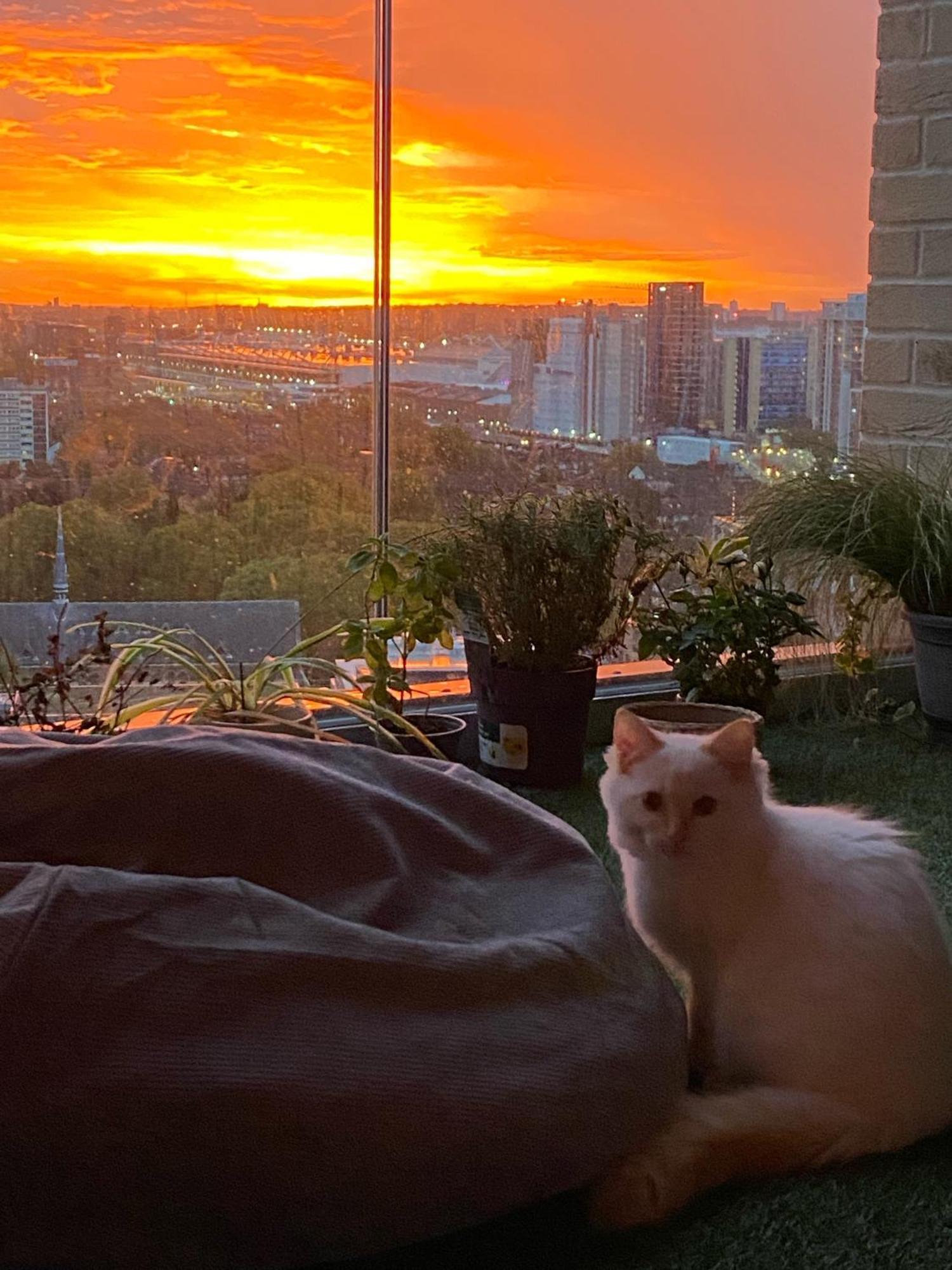 Cozy Flat With Stunning Views Lägenhet London Exteriör bild