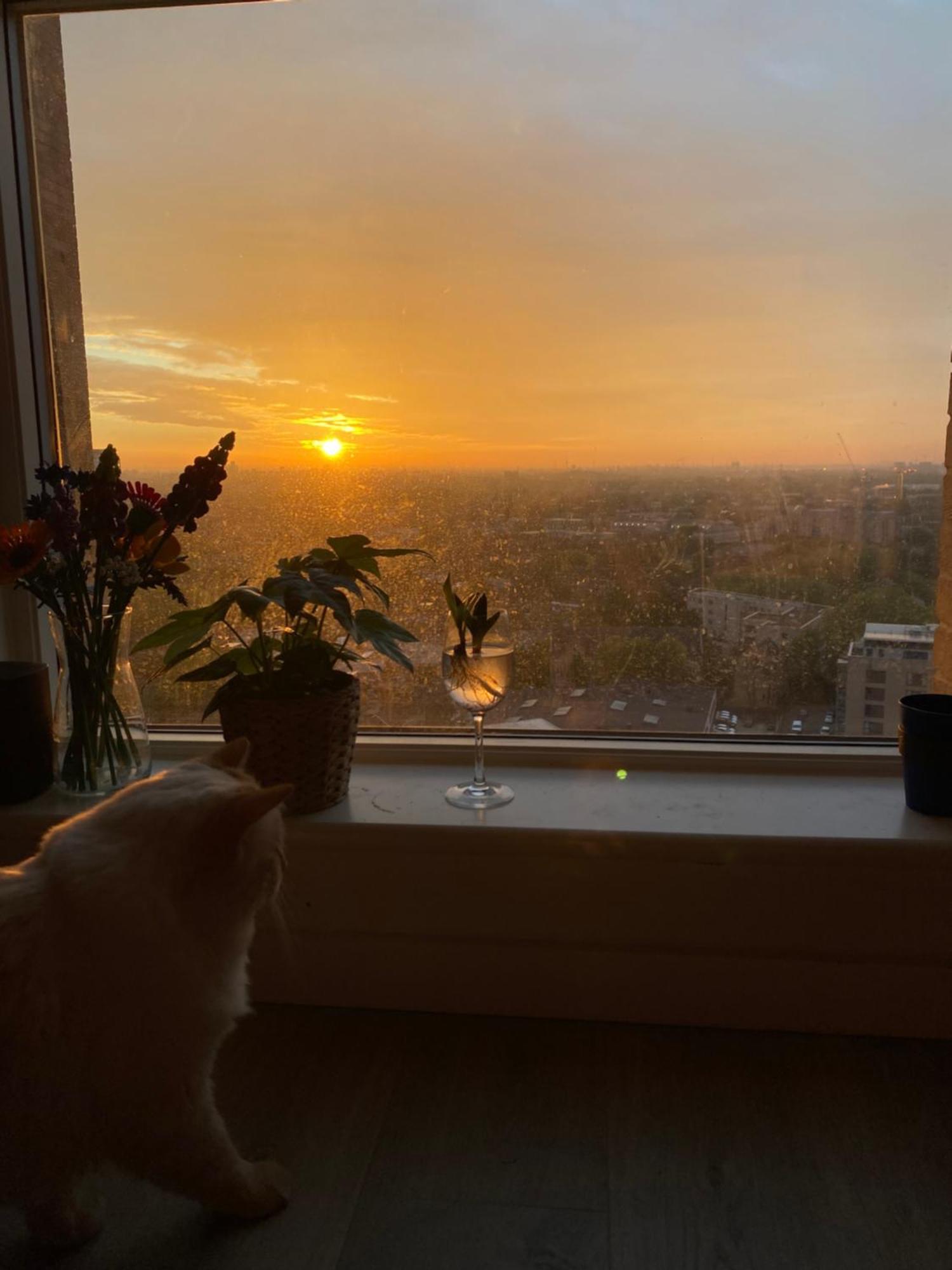 Cozy Flat With Stunning Views Lägenhet London Exteriör bild